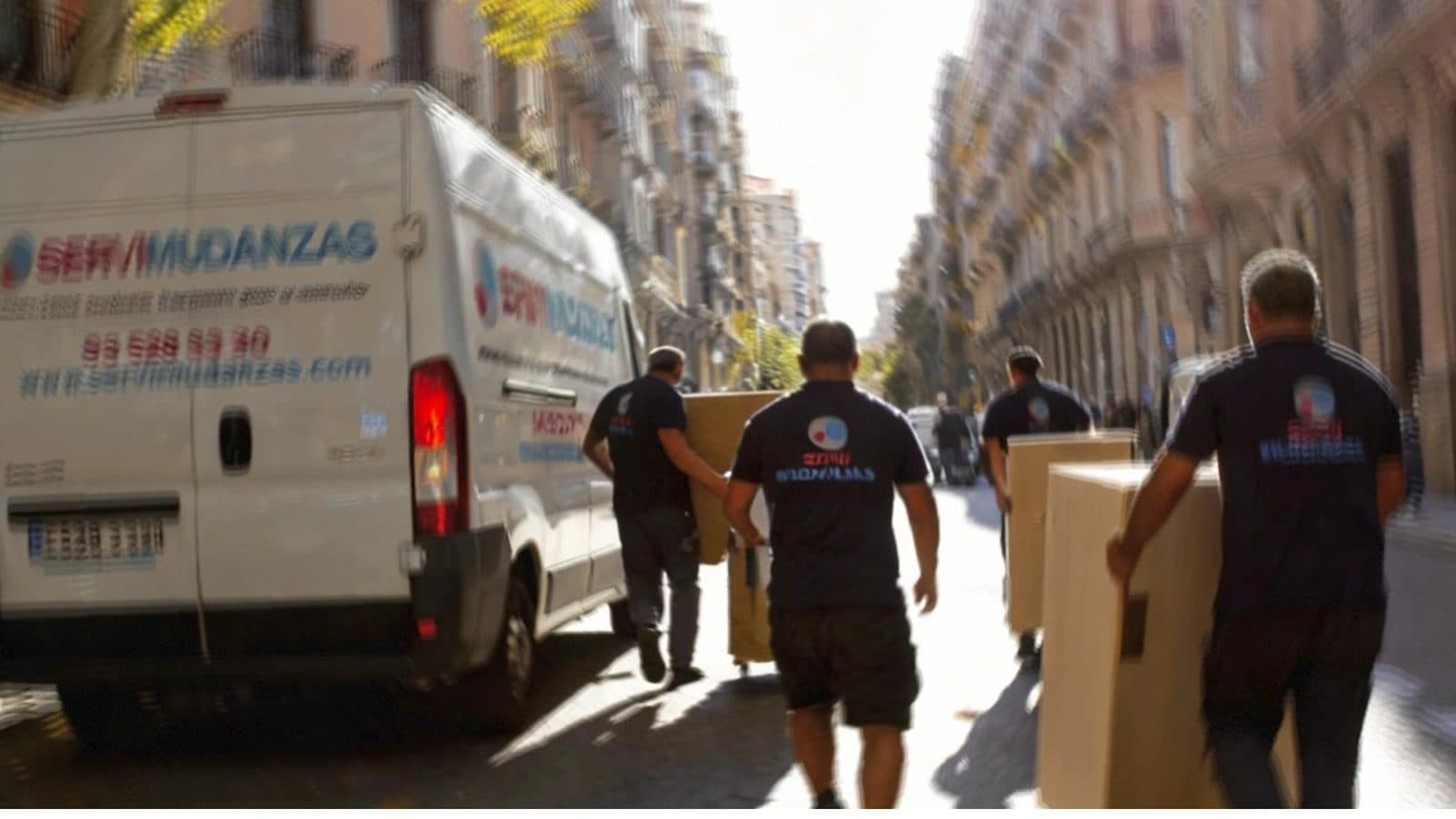Gato dentro de su transportín junto a cajas de mudanza y plantas en un piso de Barcelona